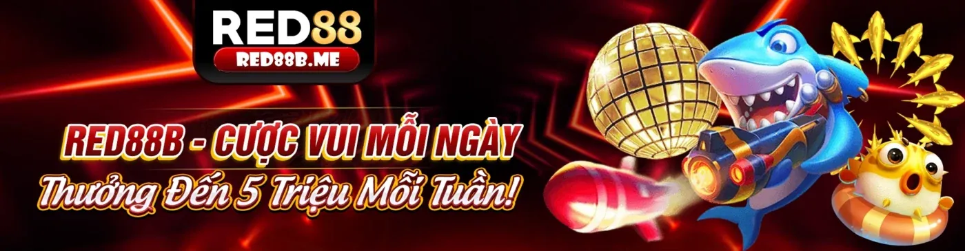 Chính sách Cookie của cm8890 - Bảo vệ dữ liệu người dùng